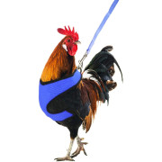 Нагръдник за Птици Chicken Harness